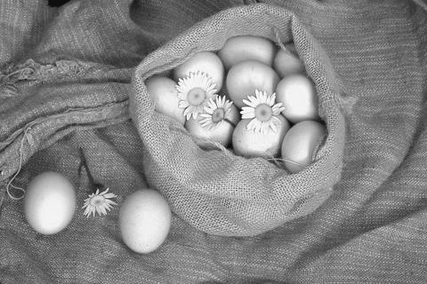Eggs burlap rustic style 스톡 사진