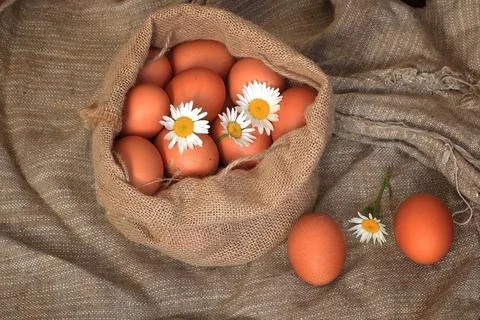 Eggs burlap rustic style 库存照片