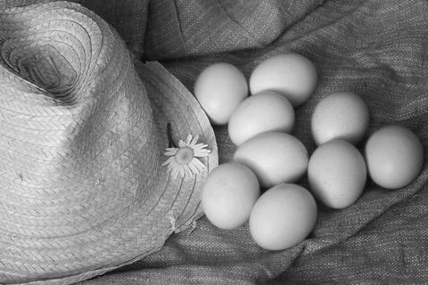 Eggs burlap rustic style 写真素材