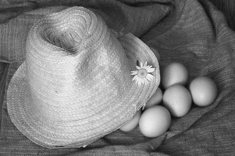 Eggs burlap rustic style 스톡 사진