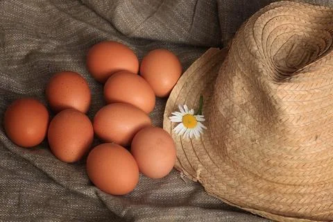 Eggs burlap rustic style 스톡 사진