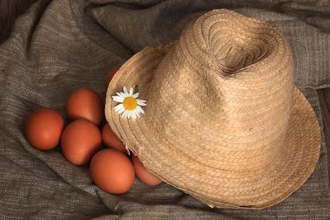 Eggs burlap rustic style 库存照片