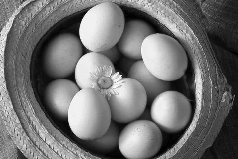 Eggs burlap rustic style Stockfoto's