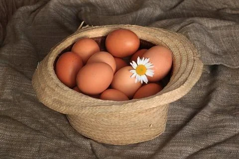 Eggs burlap rustic style 스톡 사진