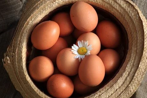 Eggs burlap rustic style Stockfoto's