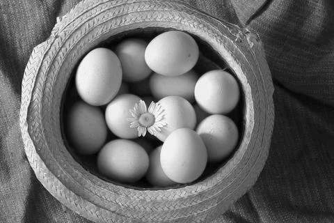 Eggs burlap rustic style Stockfoto's