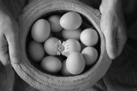 Eggs burlap rustic style 写真素材