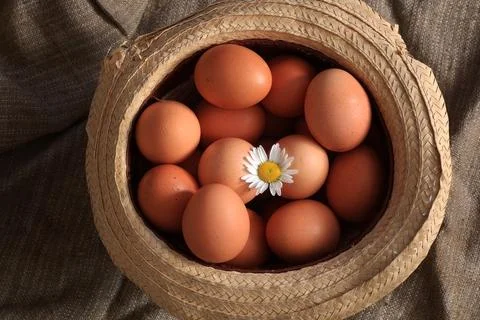 Eggs burlap rustic style 스톡 사진