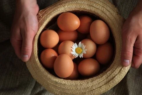 Eggs burlap rustic style 写真素材