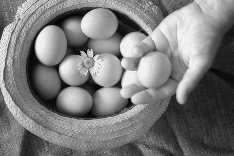 Eggs burlap rustic style 写真素材