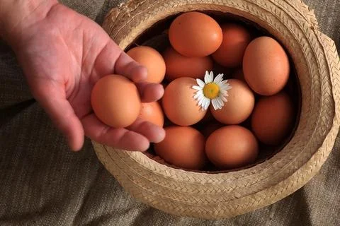 Eggs burlap rustic style Stockfoto's