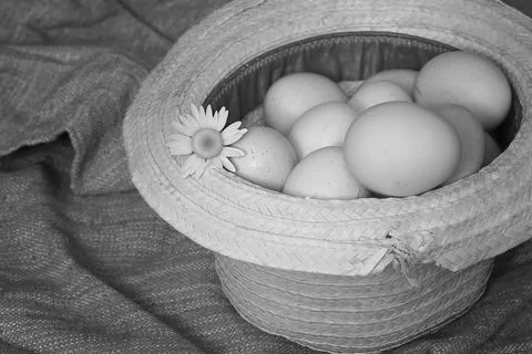 Eggs burlap rustic style Stockfoto's
