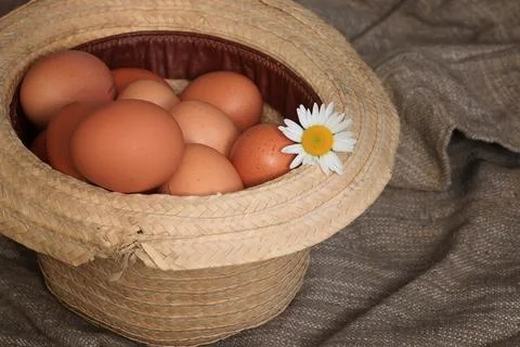 Eggs burlap rustic style 库存照片