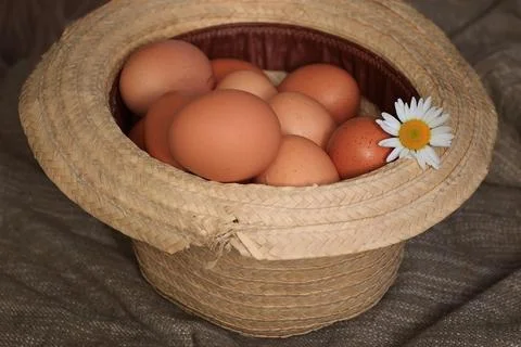 Eggs burlap rustic style 写真素材