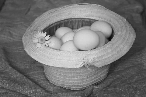 Eggs burlap rustic style 库存照片