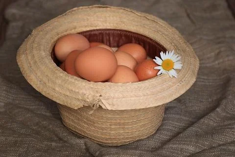 Eggs burlap rustic style Stock Photos