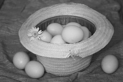 Eggs burlap rustic style 스톡 사진