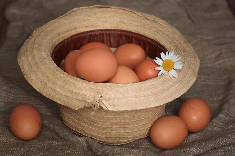 Eggs burlap rustic style Stockfoto's