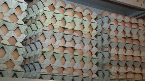 Eggs in cardboard boxes on the shelf Stock Footage 48807968