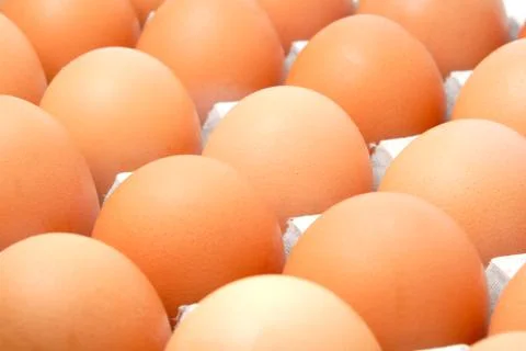 Eggs in cardboard packing Stock Photos