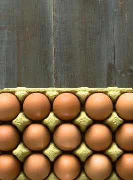 Eggs in a cardbox Stock Photos