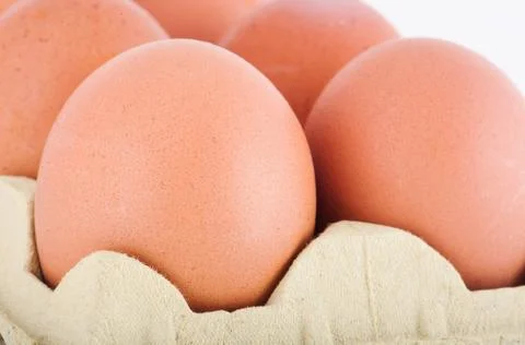 The eggs in the carton closeup Stock Photos