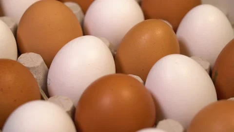 Eggs in carton Stock Footage 157151418