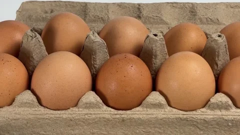 Eggs in carton Stock Footage 305261023