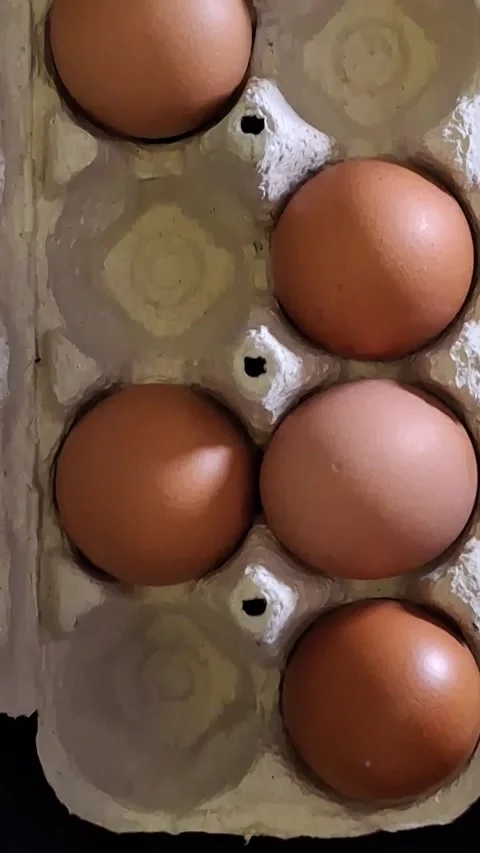 Eggs in a carton Stock-Footage 342662647