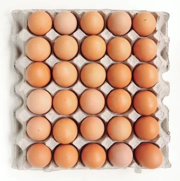 Eggs in carton Stock-Fotos