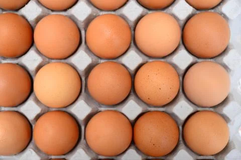 Eggs in a carton Stock Photos