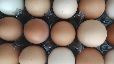 Eggs on a carton Stock Photos