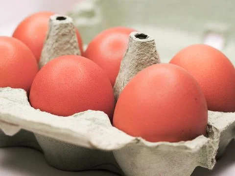 Eggs in a carton Stock Photos