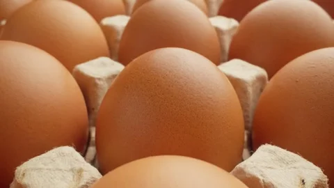 Eggs in carton tray. Macro probe lens and slider. Box with chicken fresh egg Video stock 297609249