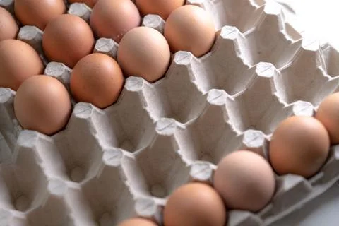 Eggs in cells for safe storage Stock Photos
