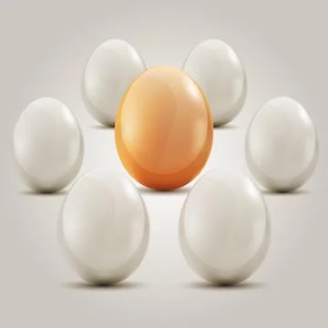 Eggs in the circle Illustrazione stock