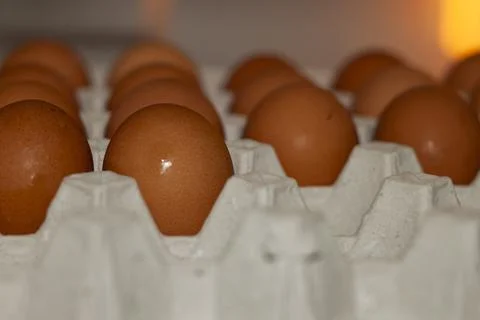 Eggs close-up Stock Photos