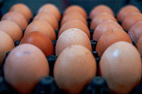 Eggs close up Stock Photos