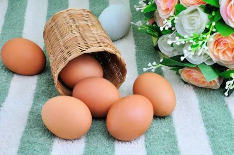 Eggs on colorful background Stock Photos