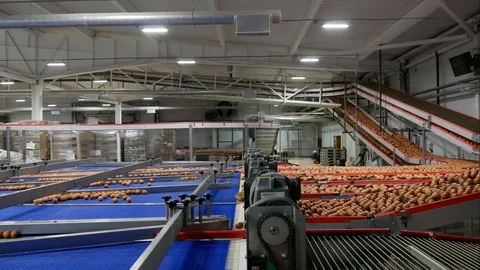 Eggs on the conveyor timelapse Stock Footage 92632987