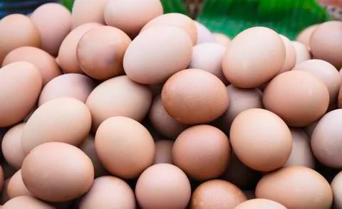 Eggs for cooking Stock Photos
