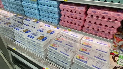 Eggs in a Cooler - Grocery Store Stock Footage 229188412