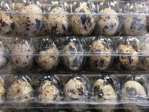 Eggs on the counter in the store Stock Photos