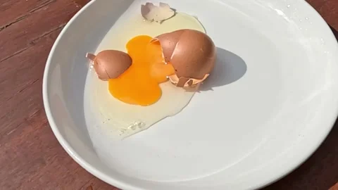 Eggs Cracking Open on White Plate Stock Footage 308768822