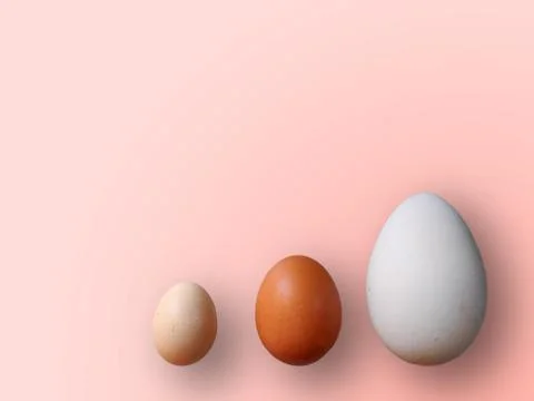 Eggs of different size on color red background. High quality photos. Chicken, Stock Photos