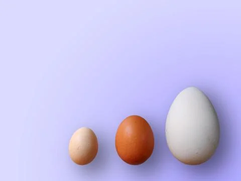 Eggs of different size on color violet background. High quality photos. Chick Stock Photos