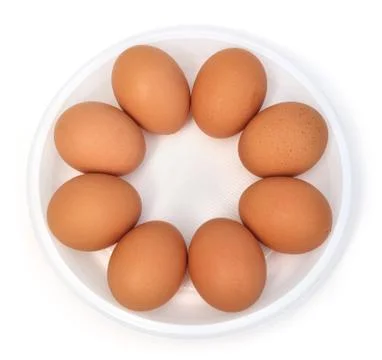 Eggs in a dish (isolated) Stock Photos