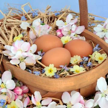 Eggs at Easter and Flower Composition Foto stock