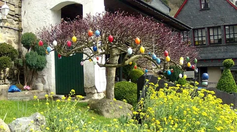 Eggs Easter Stock Footage 36998281