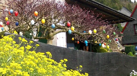 Eggs Easter Stock Footage 36998787